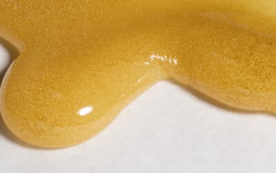The Eventuality of Legalization & Craft Solventless Concentrates