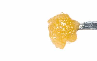Solventless Rosin Extraction: Where It Fits in the Processor’s SKU Lineup