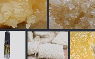 Selecting Solventless Hash SKUs Based on Material Availability and Quality
