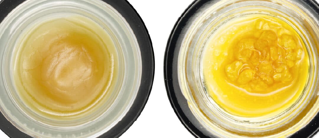 Solventless Rosin (L) and Solvent-Free Sauce (R)