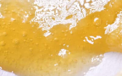 A Side-by-Side Comparison of the Top Cannabis Extraction Methods